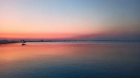Эллинг - 1