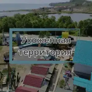 Золотари 5+ - 5