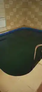 Милославский - 74