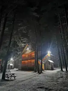 Канада - 65