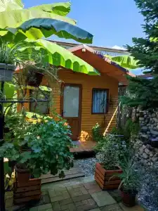 у Левы - 0
