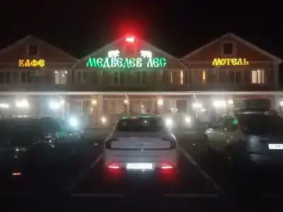 Медведев лес - 3