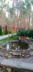 Чайка - 25