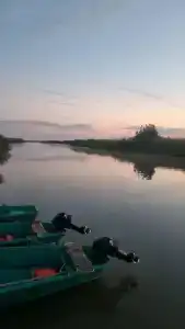 Флотраскат - 29