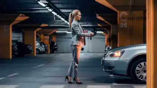 Альпийская - 32