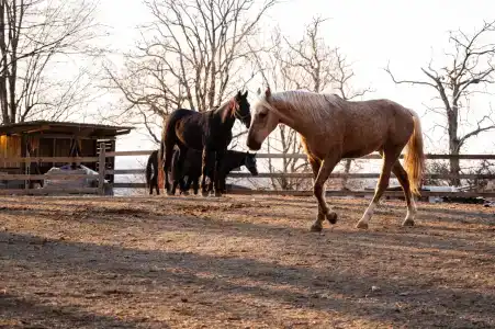 Огни Сочи - 21