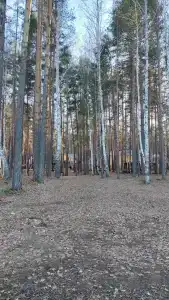 База Путеец - 77