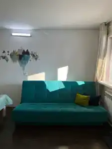 Капибара - 10