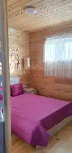 Пилигрим - 40