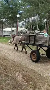 Южный Парк - 38