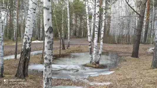 Бузим Красноярск - 21