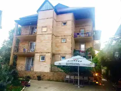 Виолетта - 13