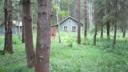 Лесной Родник - 88