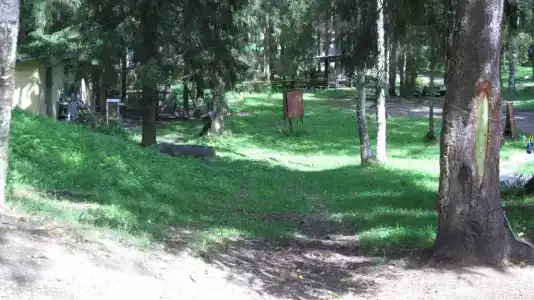 Лесной Родник - 55