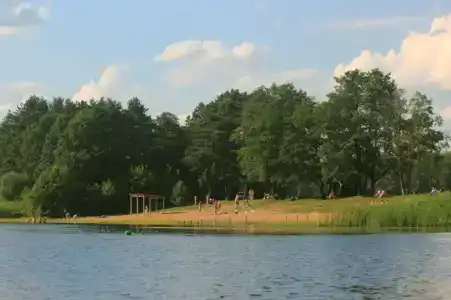 Энергетик - 50