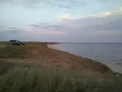 у Лены - 5