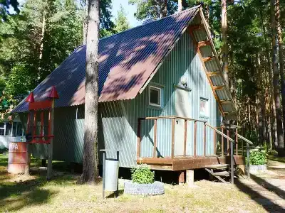 Медведь - 10