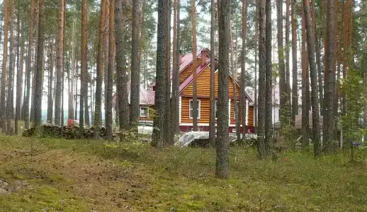 Дивная усадьба - 1