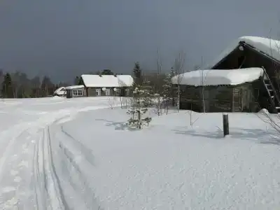 Индель - 10