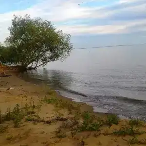 Болгар - 20