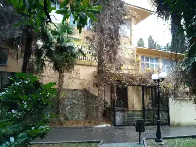 Хоста - 12