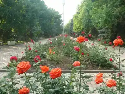 Пансионат Дорожник - 55