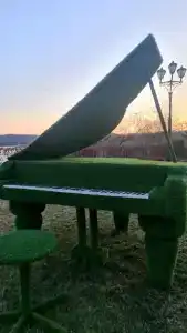 Белый лебедь - 51