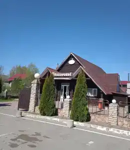 Подборовье - 1