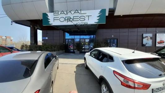 Baikal Forest - 95