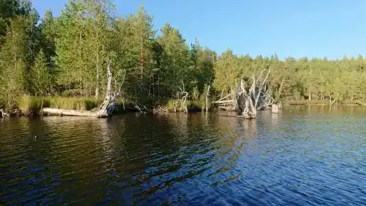 Уросъярви - 95