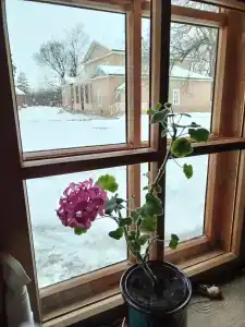 Мпц - 39
