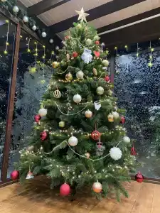 Метелица - 42