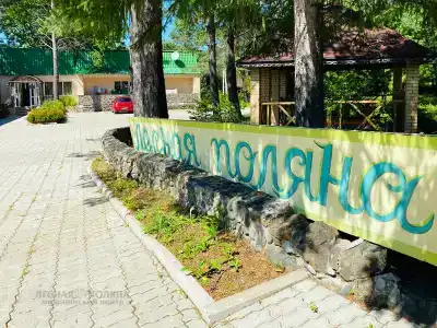 Лесная поляна - 2