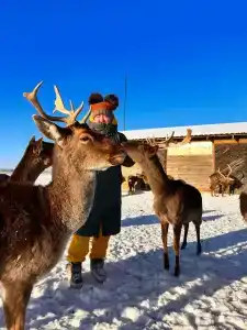 Ильинка лес - 2