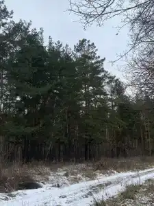 Слюдяночка - 47