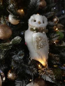 Магистраль - 36