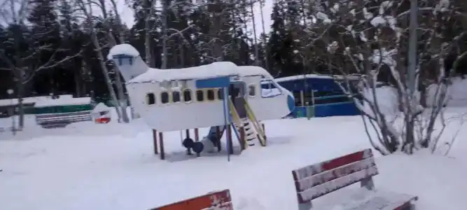 Звездочка - 43