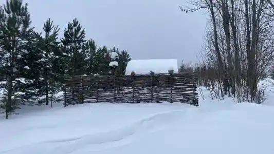 Живой источник - 21