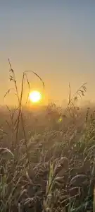 Звезда - 23