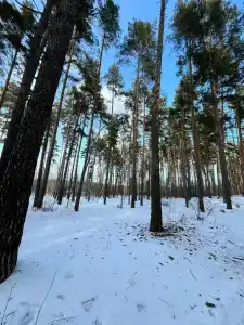 Малиновка - 4