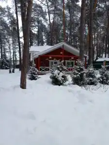 Бунырвилль - 85