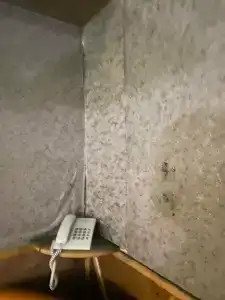 Милославский - 53