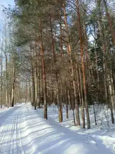 Заповедный край - 23