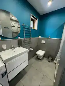 Чайка 1918 - 76