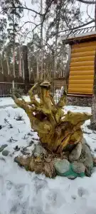 Усадьба у Гришаевых - 3