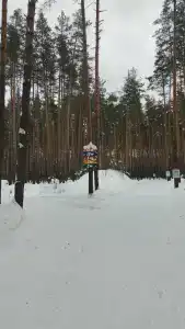 Баринова Роща - 14