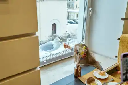 Золотой Треугольник - 55