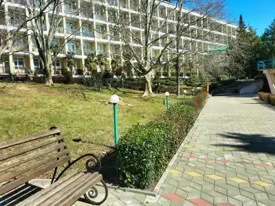 Сосновый - 26