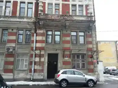 Пихта - 21
