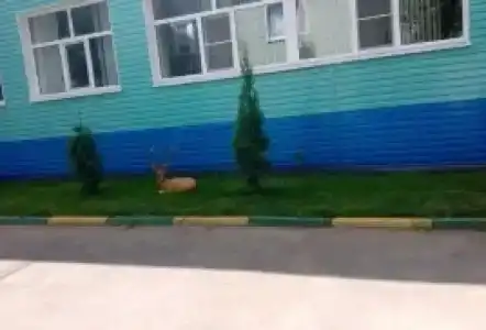 Детский психоневрологический санаторий - 28